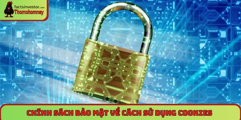Chính sách bảo mật về cách sử dụng cookies 