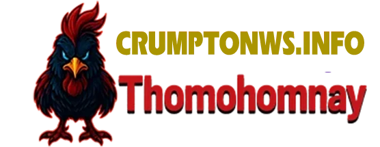 Thomohomnay | TRỰC TIẾP ĐÁ GÀ THOMO HÔM NAY